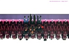 dailyPhoto9